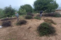 2026-04-25-at-22.05.20