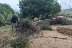 2026-04-25-at-22.05.22