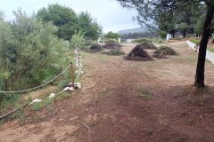 WhatsApp-Image-2026-04-25-at-22.05.11