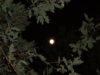 DSCF0108