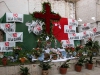 Cruz de mayo47