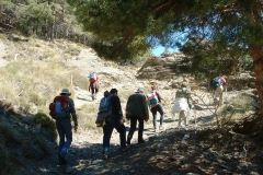 276