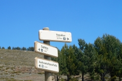 293