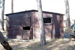 DSC_0337
