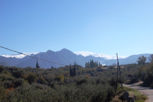 2008 24.- 08/11 Salida a Dilar Guilda Estarón