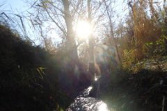DSC00160