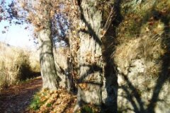 DSC00169