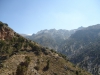 DSC00867