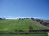 IMGP5837
