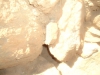 DSC00772
