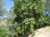 DSC00777