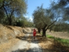 DSC00780