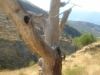 DSC00807