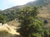 DSC00831