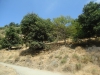 DSC00833
