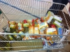 img-20131130-wa0134