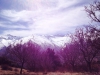 IMG-20140309-WA0016
