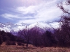 IMG-20140309-WA0017