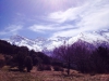 IMG-20140309-WA0018