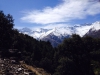 IMG-20140309-WA0023