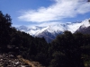 IMG-20140309-WA0024