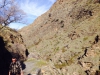 IMG-20140309-WA0028
