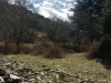 IMG-20140309-WA0034