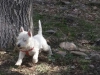 IMG-20140309-WA0037