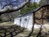 IMG-20140309-WA0042