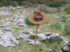 DSCN1185