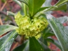 DSCN1186