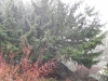 DSCN1190