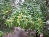 DSCN1191