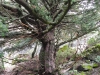 DSCN1194