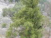 DSCN1197