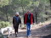 DSC_8267