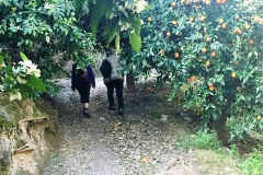 IMG_4513 (2)