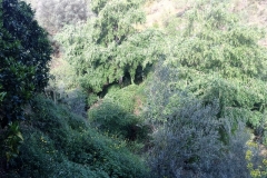 IMG_4514 (2)