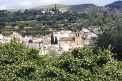 IMG_4517 (2)