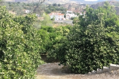 IMG_4518 (2)