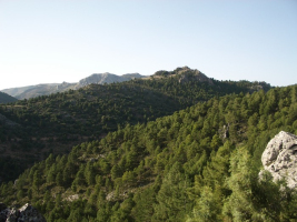 2017 08.- Salida Cañada Real