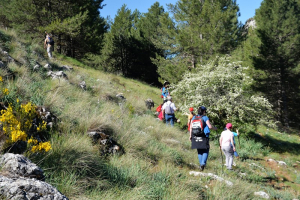 2017 12.- Cerro Blanco