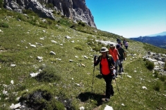 2021-05-06-Cortillo-Linillos-Alto-del-Majalijar-11