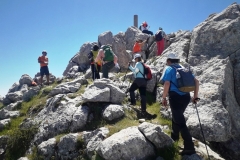 2021-05-06-Cortillo-Linillos-Alto-del-Majalijar-14