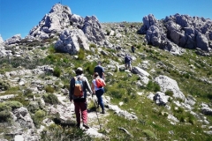2021-05-06-Cortillo-Linillos-Alto-del-Majalijar-15