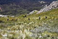 2021-05-06-Cortillo-Linillos-Alto-del-Majalijar-16