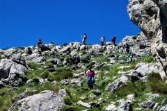 2021-05-06-Cortillo-Linillos-Alto-del-Majalijar-23