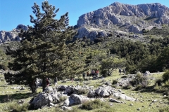 2021-05-06-Cortillo-Linillos-Alto-del-Majalijar-3