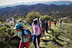 2021-05-06-Cortillo-Linillos-Alto-del-Majalijar-5