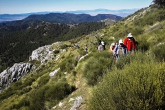 2021-05-06-Cortillo-Linillos-Alto-del-Majalijar-7